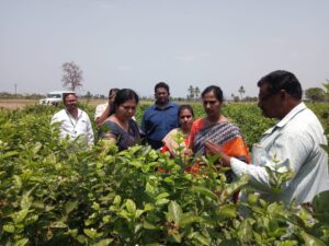 Read more about the article UPNRM – JASMINE PROJECT MYLAVARAM